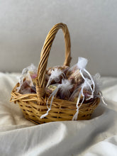 Basket 6 - Twisted Wicker